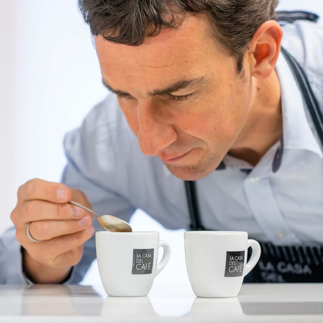 proyecto-la-casa-del-cafe-5